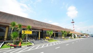 Ribuan Burung Serbu Bandara Adisutjipto, 12 Penerbangan Terganggu