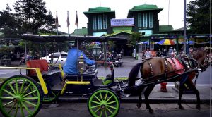 Kenaikan Harga Beras Sumbang Inflasi DIY