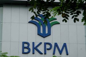 Tiga Entitas Bisnis Hanya Dapat Izin Sementara dari BKPM