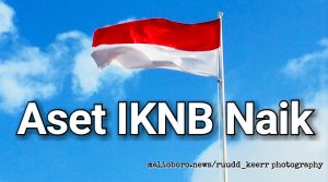 OJK : Aset Industri Keuangan Non Bank Naik Signifikan