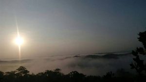 Negeri Di Atas Awan Bukit Tranggulasi Dlingo