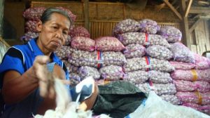 BAWANG SEBABKAN INFLASI DI DIY   