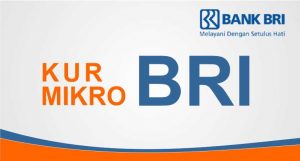 Alokasi KUR BRI Tahun Ini Capai Rp 10,6 Triliun