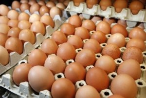 Harga Telur Terus Melambung, BKPP Tandaskan Stok Telur Di DIY Aman