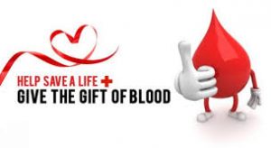 Donor Darah BEI Yogyakarta Bersama OJK DIY dan FKIJK DIY Dalam Rangka HUT BEI ke-41 Dan HUT Kemerdekaan RI Ke-73