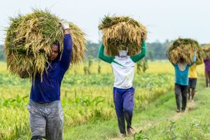 Pemerintah DIY Bahu Membahu Menurunkan Angka Kemiskinan