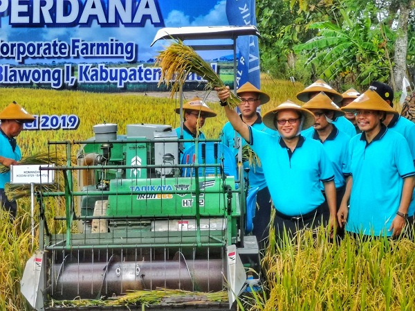 Corporate Farming