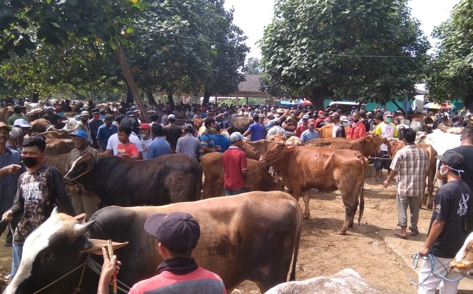 Pasar Sapi Ambarketawang