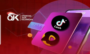Satgas Waspada Investasi Hentikan Tiktok Cash dan Snack Video