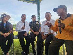 Mentan Amran: Serap Gabah Bermasalah, Swasembada Pangan Terancam