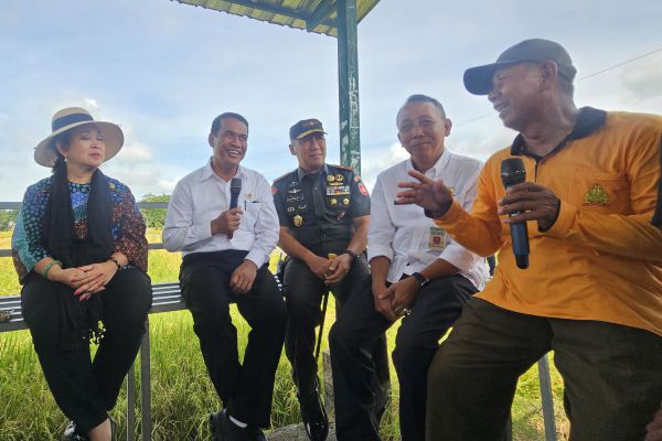 Mentan Amran: Serap Gabah Bermasalah, Swasembada Pangan Terancam