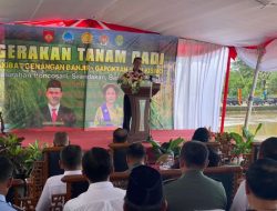 Sawah Banyak Terdampak Banjir, Mentan Gelontorkan Bantuan ke DIY