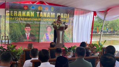 Sawah Banyak Terdampak Banjir, Mentan Gelontorkan Bantuan ke DIY