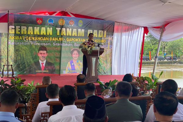 Sawah Banyak Terdampak Banjir, Mentan Gelontorkan Bantuan ke DIY